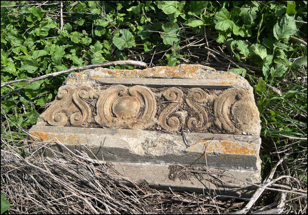 Urban Wild at the Albany Bulb