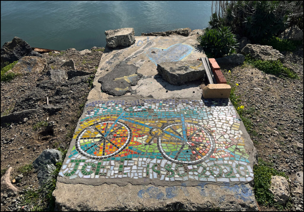 Urban Wild at the Albany Bulb