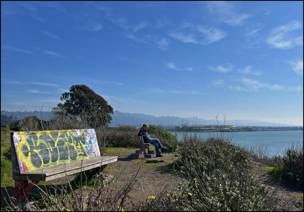 Urban Wild at the Albany Bulb