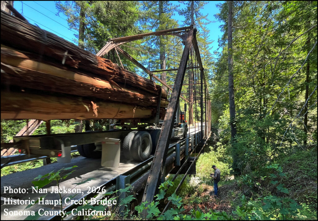 Historic Haupt Creek Bridge northern Sonoma County, California. Redwood Logs Logger’s Pole Trailer Phoenix columns