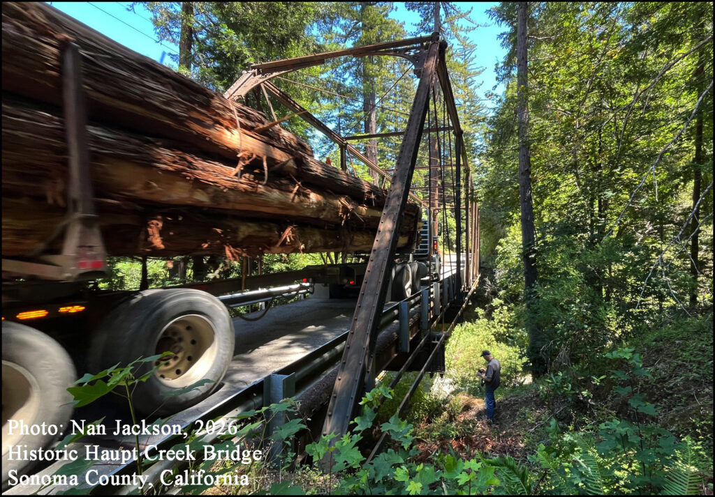 Historic Haupt Creek Bridge northern Sonoma County, California. Redwood Logs Logger’s Pole Trailer Phoenix columns
